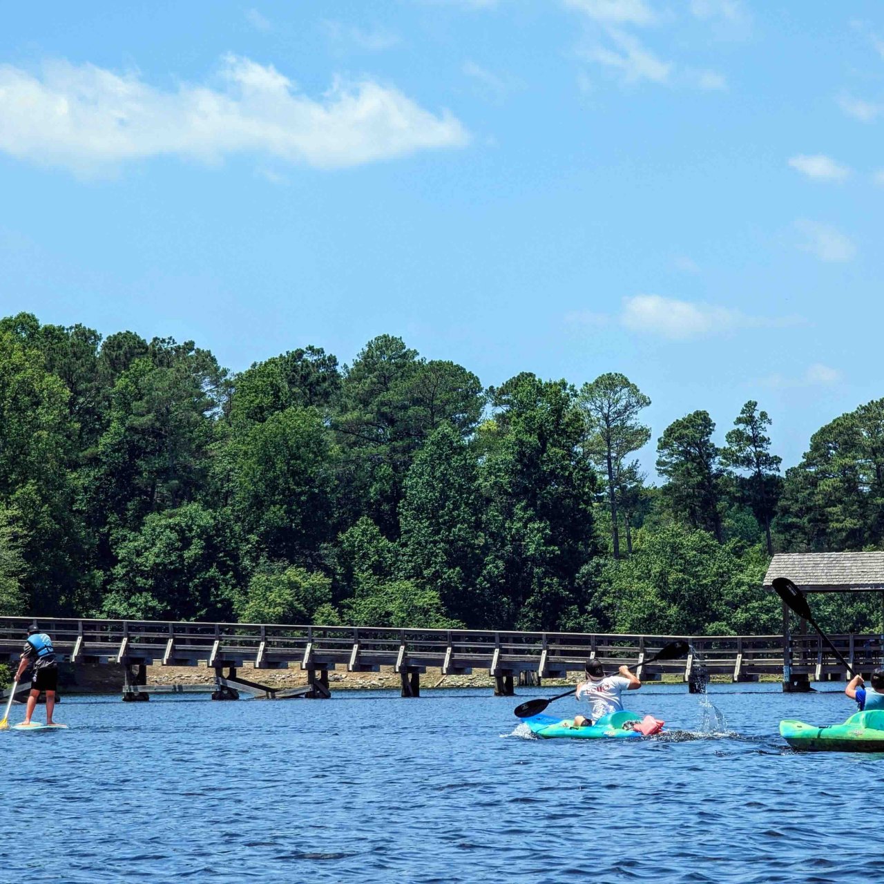 group of people paddling on the water with a bridge and trees in the background