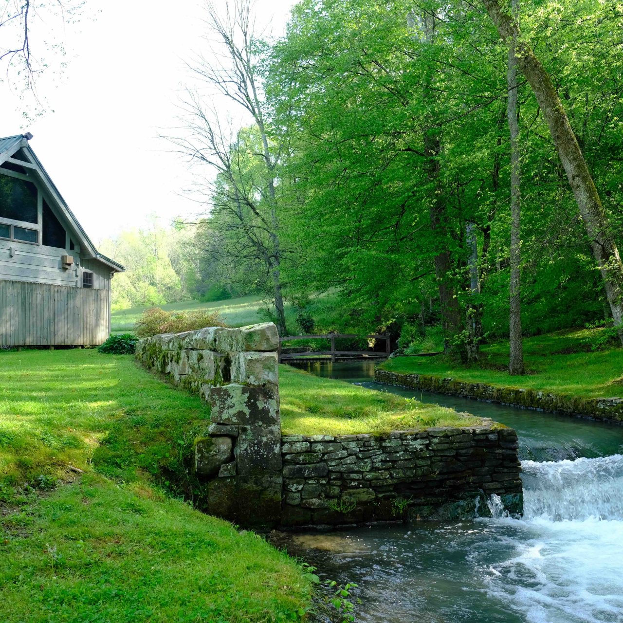A serene scene featuring a rustic cabin with a metal roof by a flowing stream and stone wall. Lush green trees and grass create a peaceful, natural vibe.
