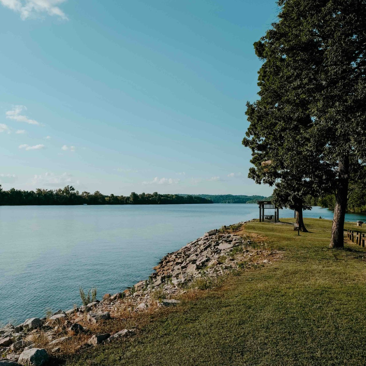view of river with a wooden bench by a tree in the distance