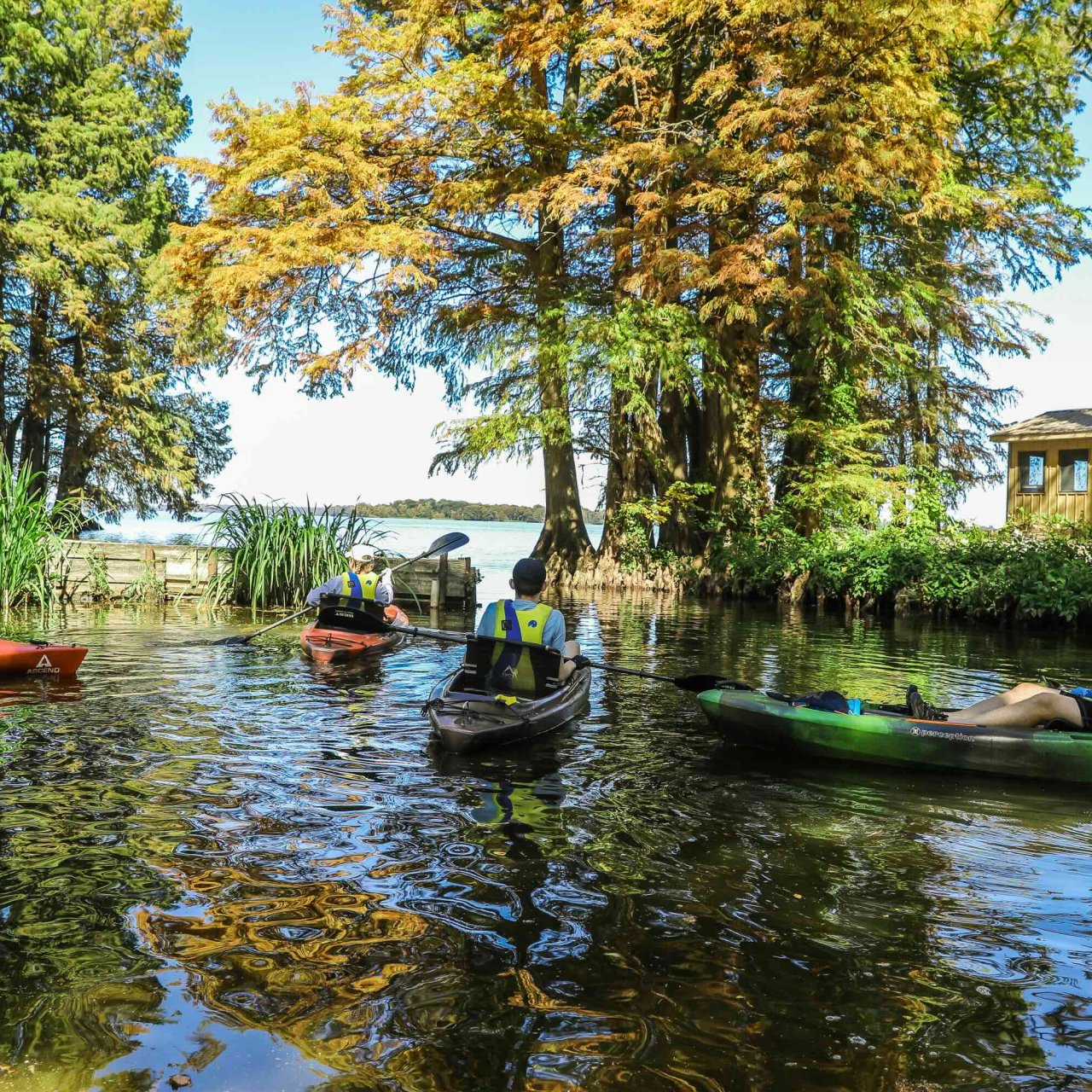 A group of people in kayaks paddle through a peaceful, tree-lined waterway with vibrant fall foliage. A sunny day with a calm and serene atmosphere.
