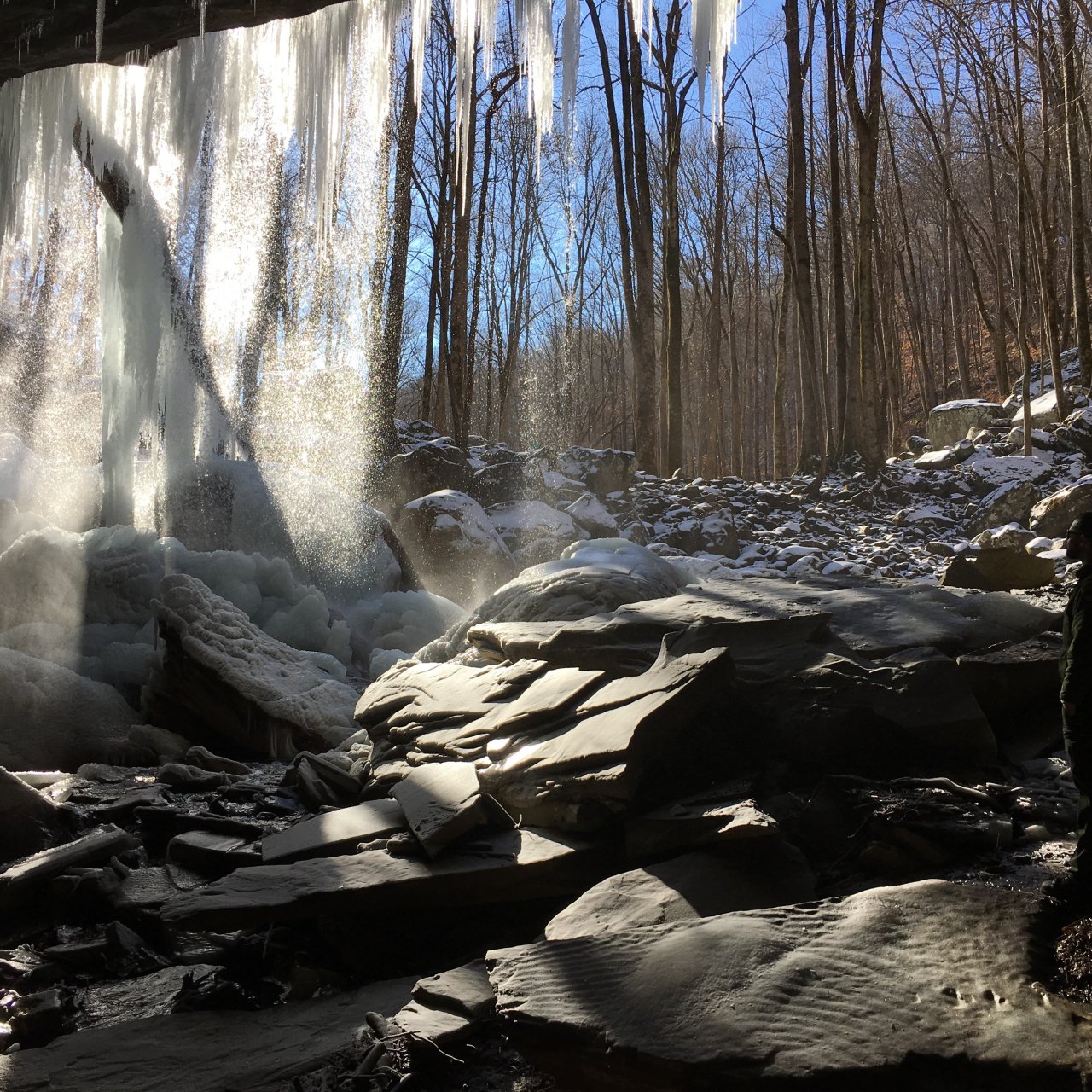 Frozen waterfall and icicles glisten in sunlight while a person stands in shadowy foreground observing. Bare trees and rocky landscape surround. Serene and cold.