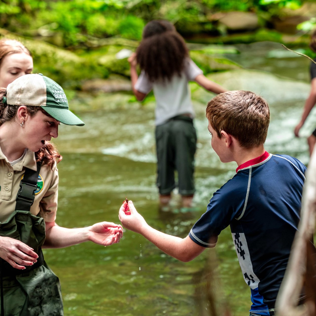 Ranger in creek looking at what child has caught in his hand
