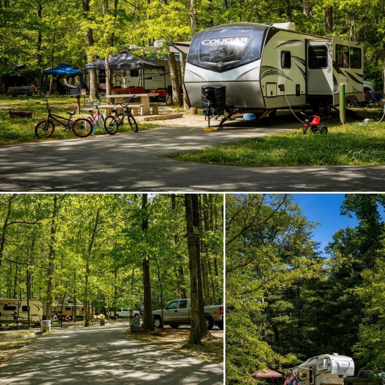 Scenes of a serene campground with RVs and lush trees.