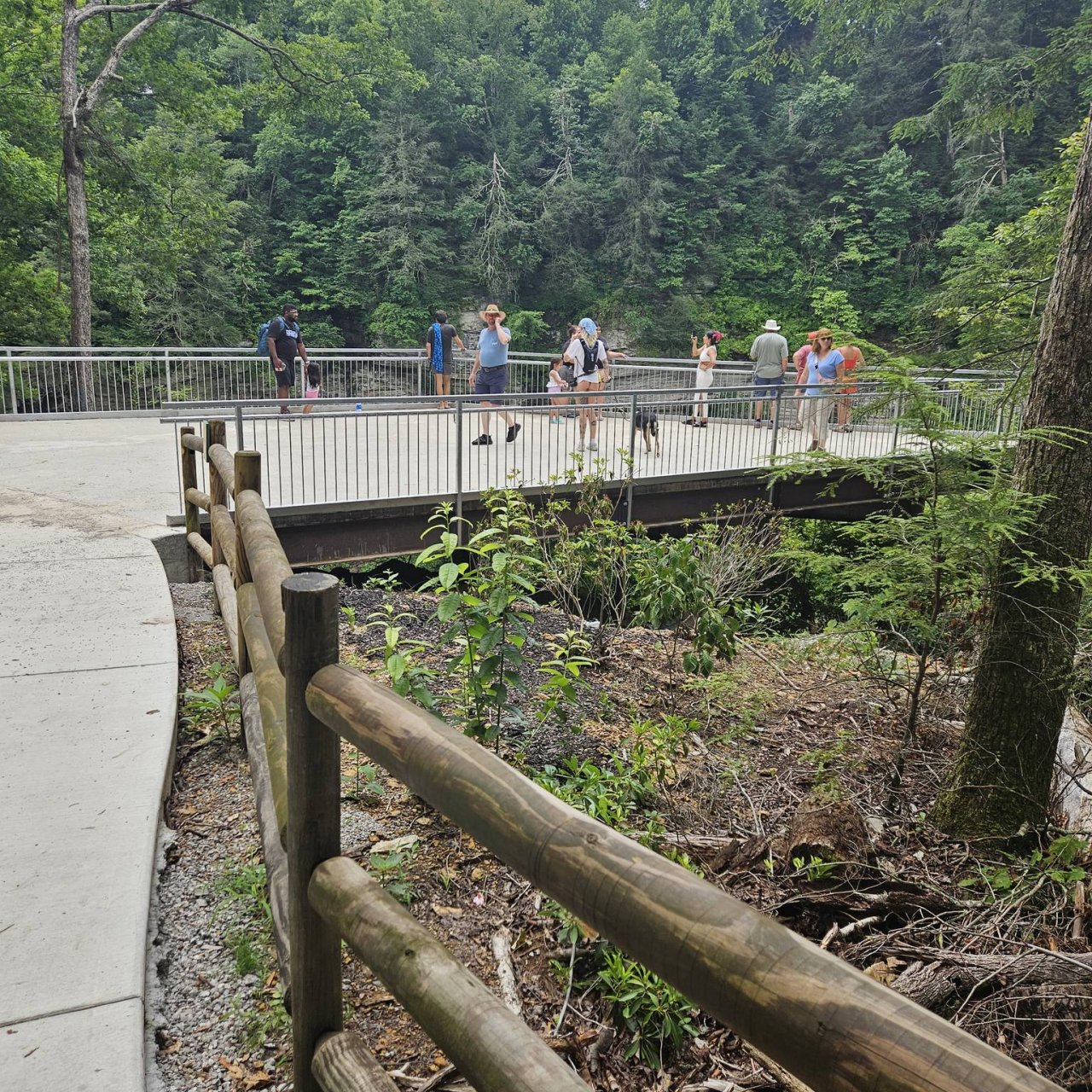 Group of people on a wooden bridge in a lush green park.