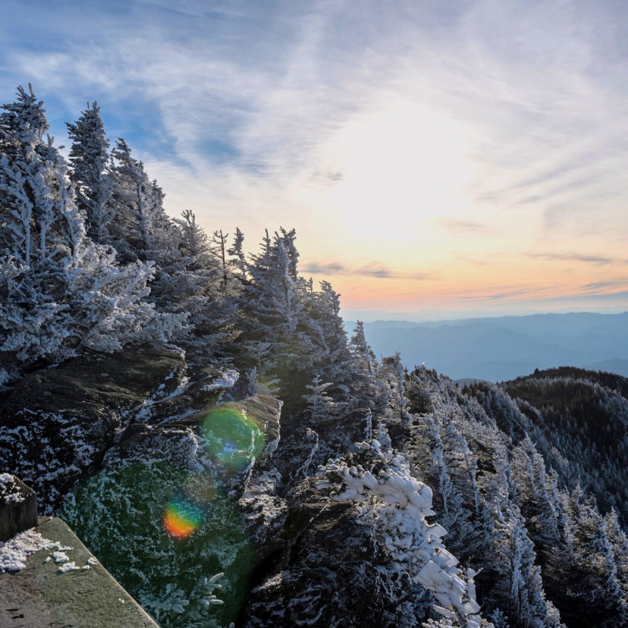 Snow-covered trees on a mountain cliff at sunset.