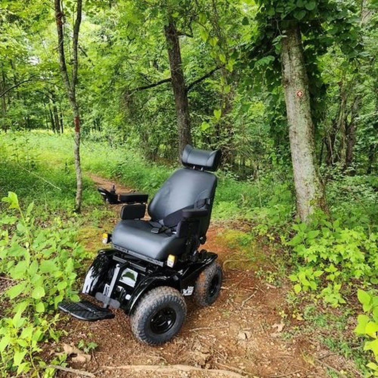 Motorized wheelchair on a forest trail surrounded by green trees.