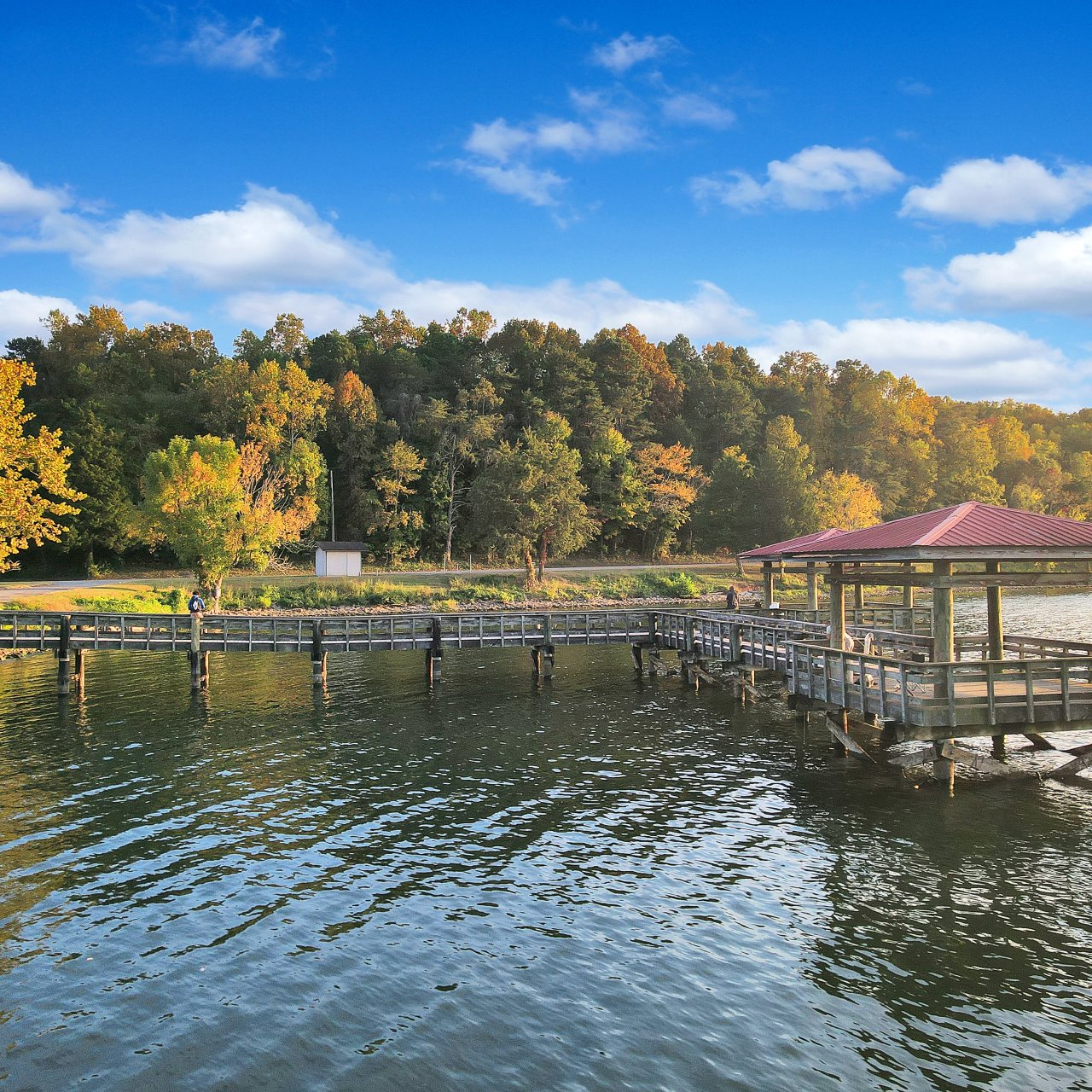An L-Shaped fishing pier stands on the lake. Trees along the shoreline are just beginning to show their fall colors against a bright blue sky.