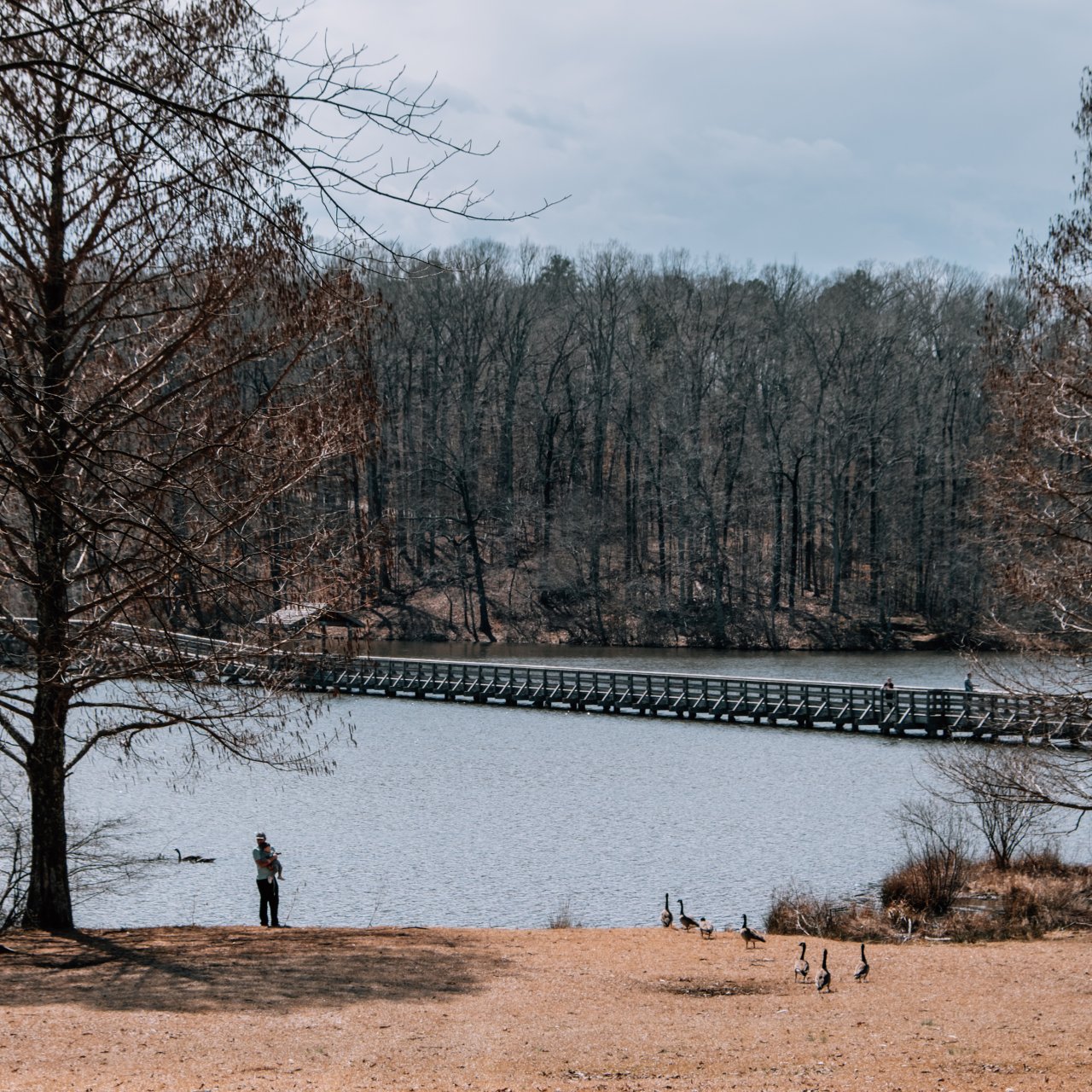 Lake Placid at Chickasaw State Park by Kari Edgens