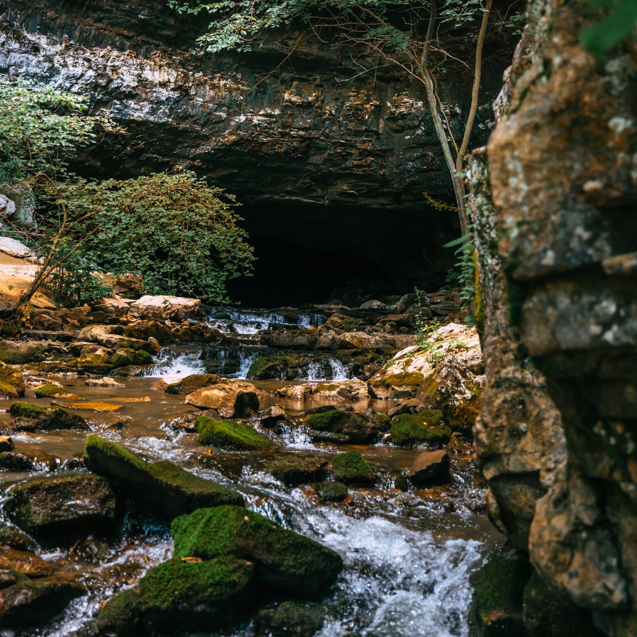 Stream flowing into a dark cave surrounded by rocks and greenery.
