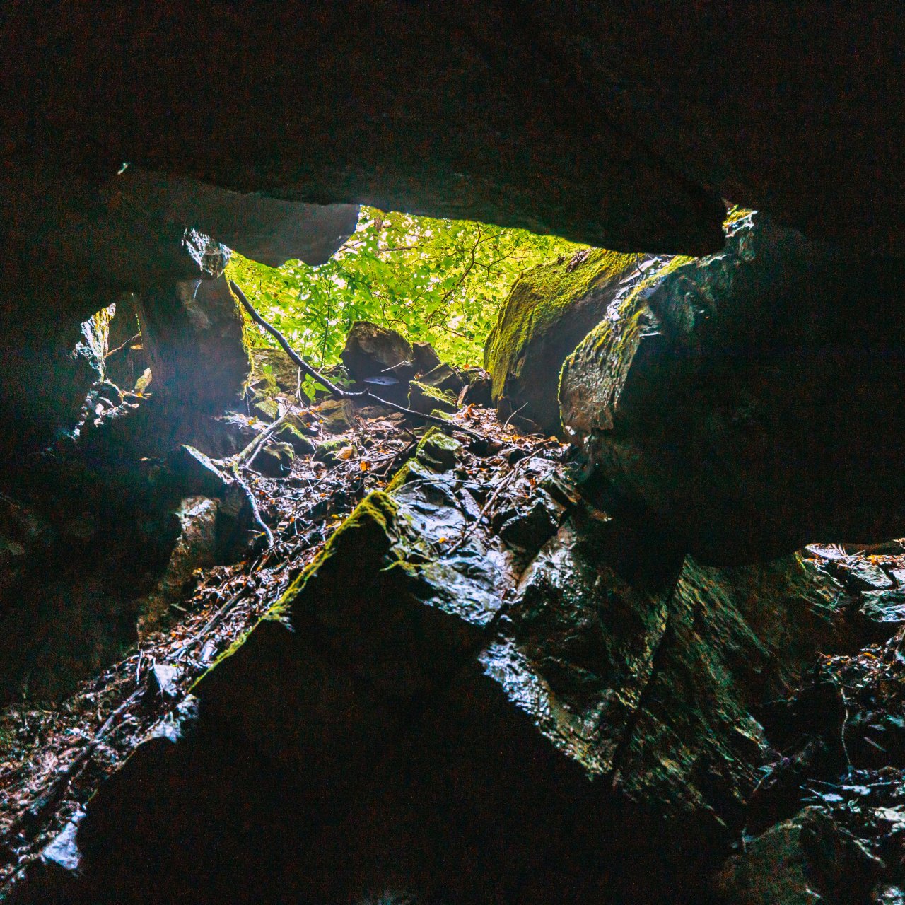 Cave opening with sunlight and greenery above.