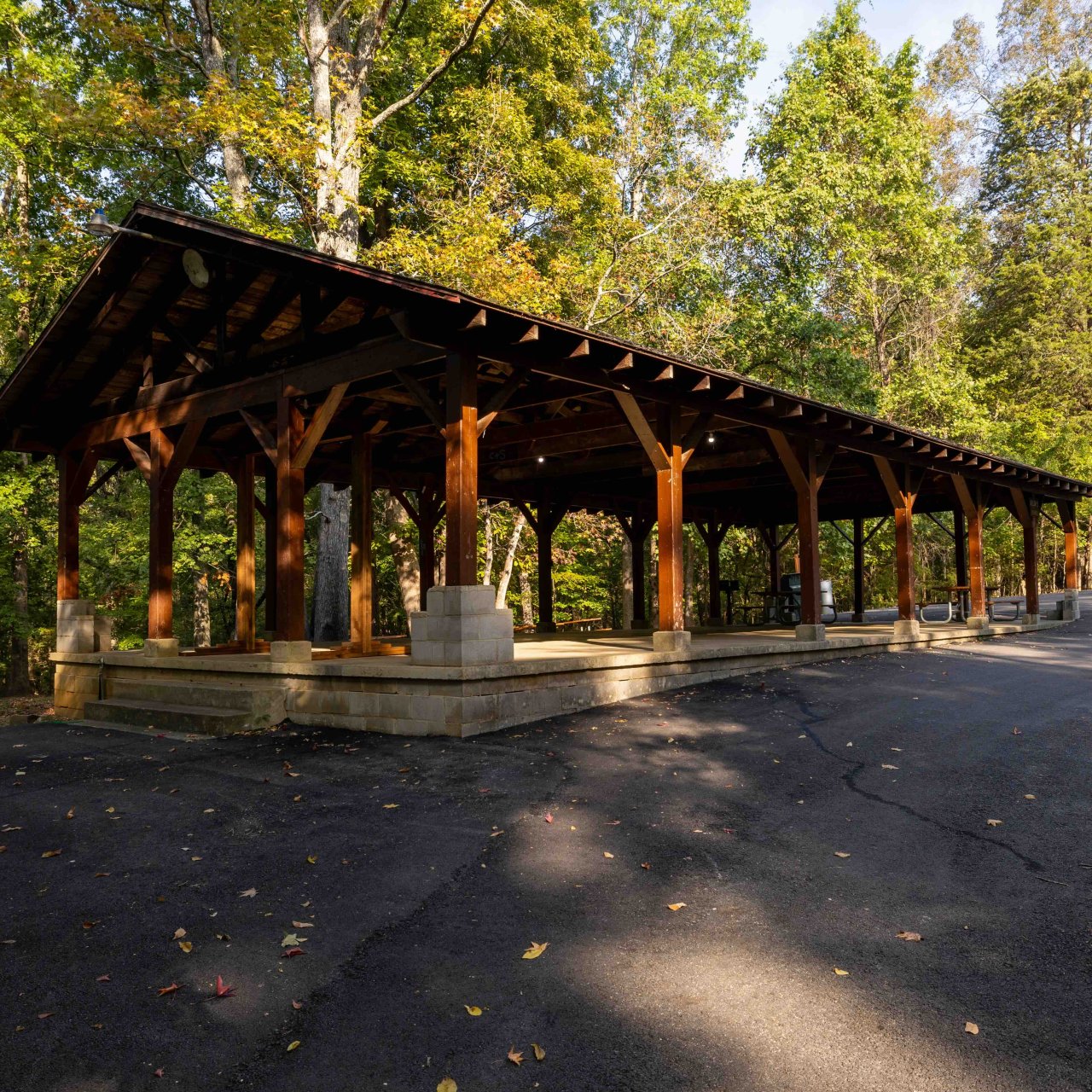 Wooden pavilion in a forest with a paved area on a sunny day.