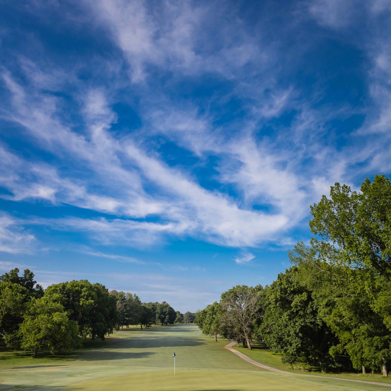 Golf course with vibrant blue sky and lush greenery.