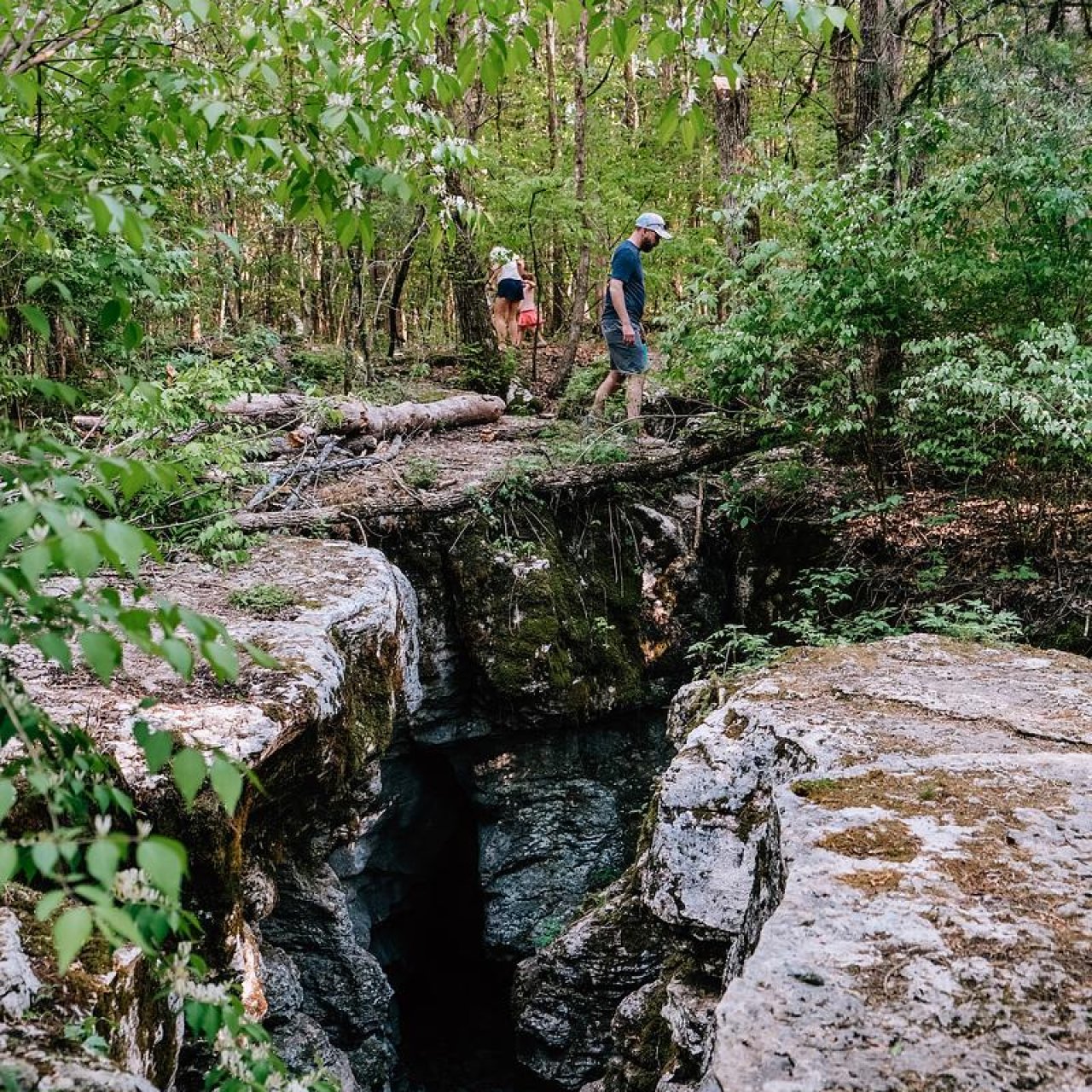Two hikers crossing a small natural bridge over a forested chasm.