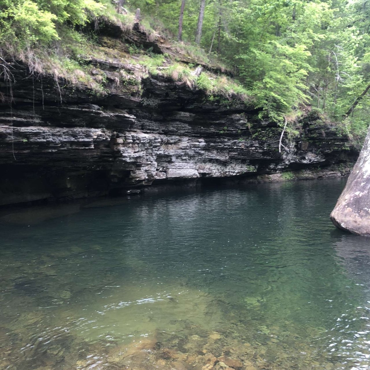 Clear river with rocky banks and lush green trees above.