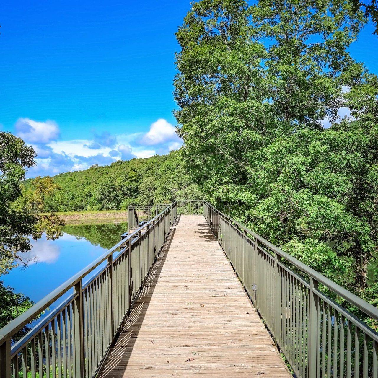 bridge with a wooden bottom and metal railing