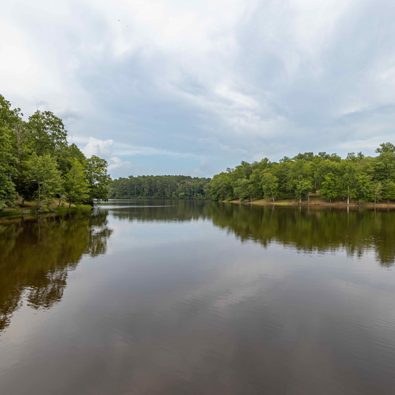 View of a calm lake that is reflecting the trees on a slightly cloudy day