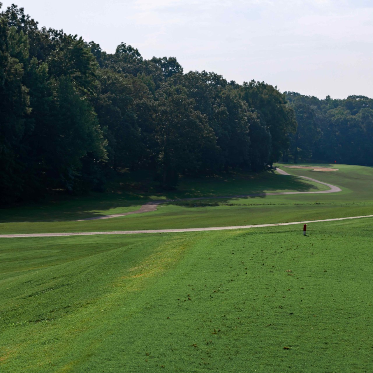 Lush golf course with a distant golfer and surrounding trees.