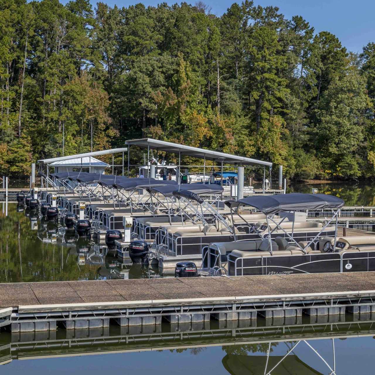 Marina with rows of boats docked, surrounded by trees.