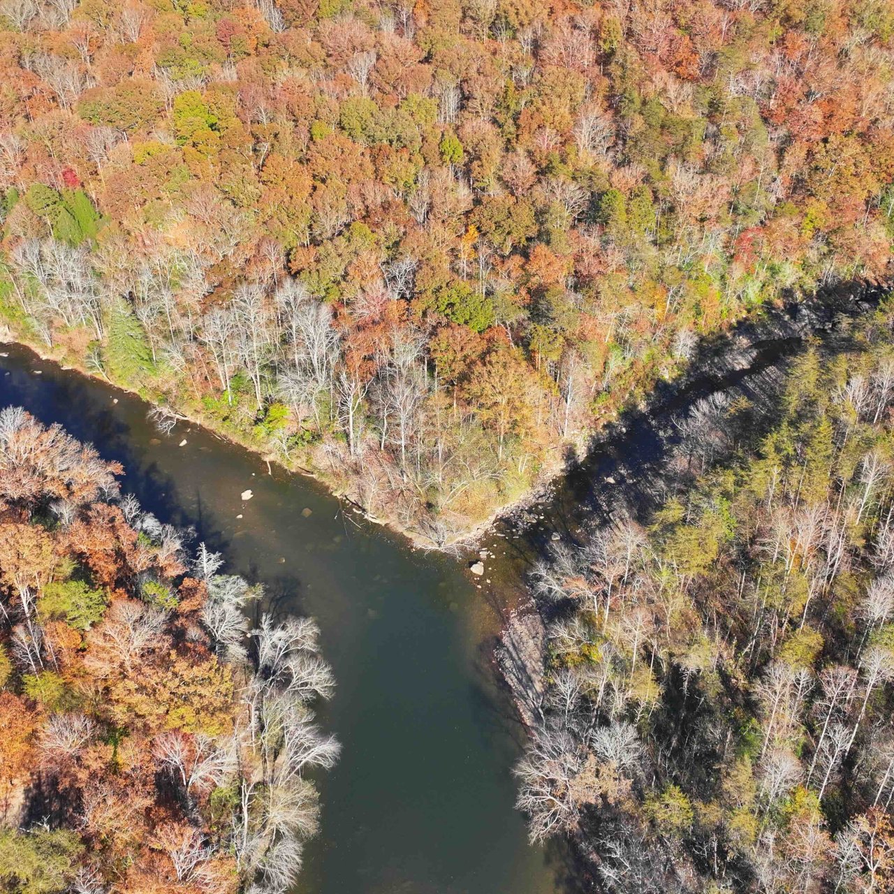 Aerial view of a river winding through a colorful autumn forest.