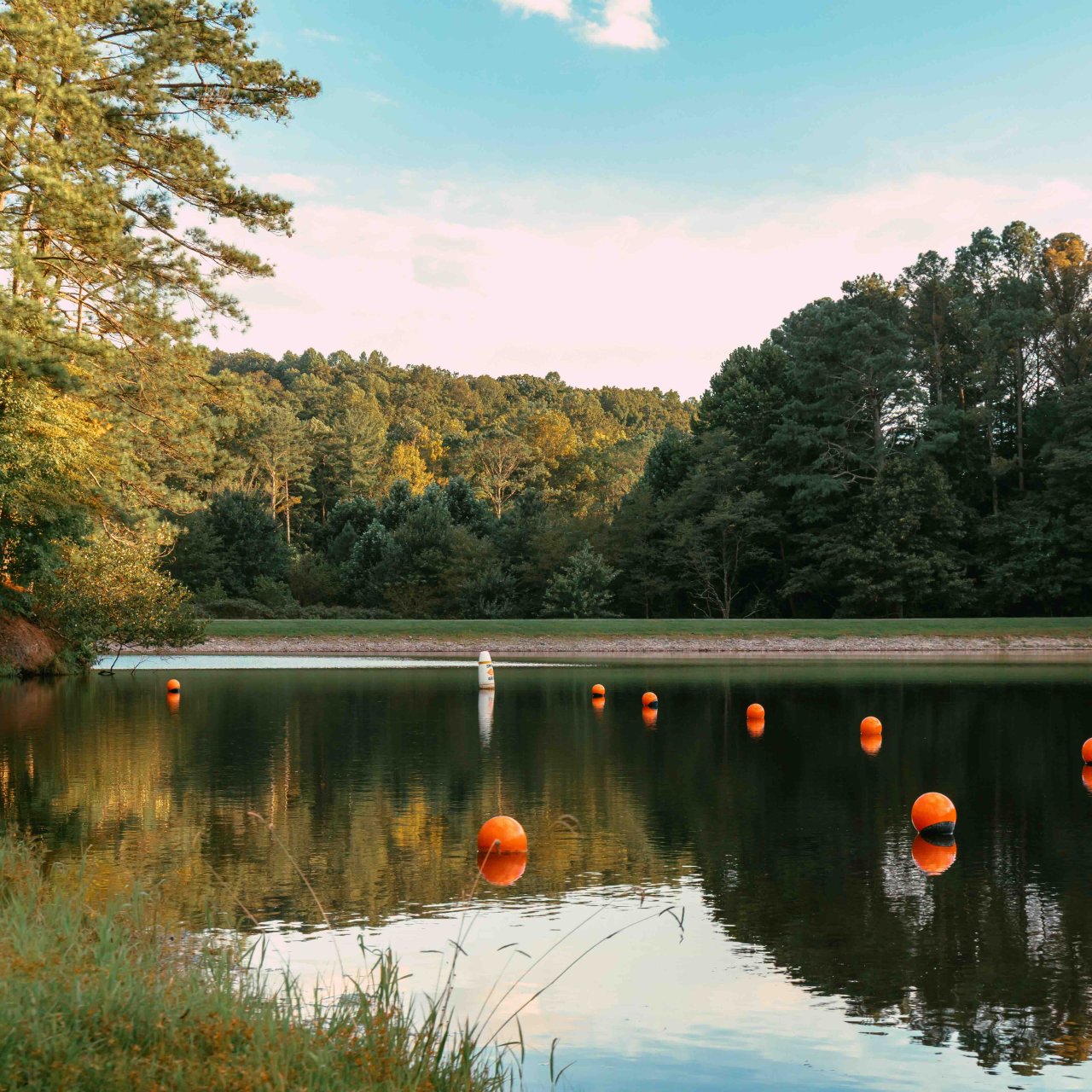 Serene lake surrounded by lush green trees under a clear sky.