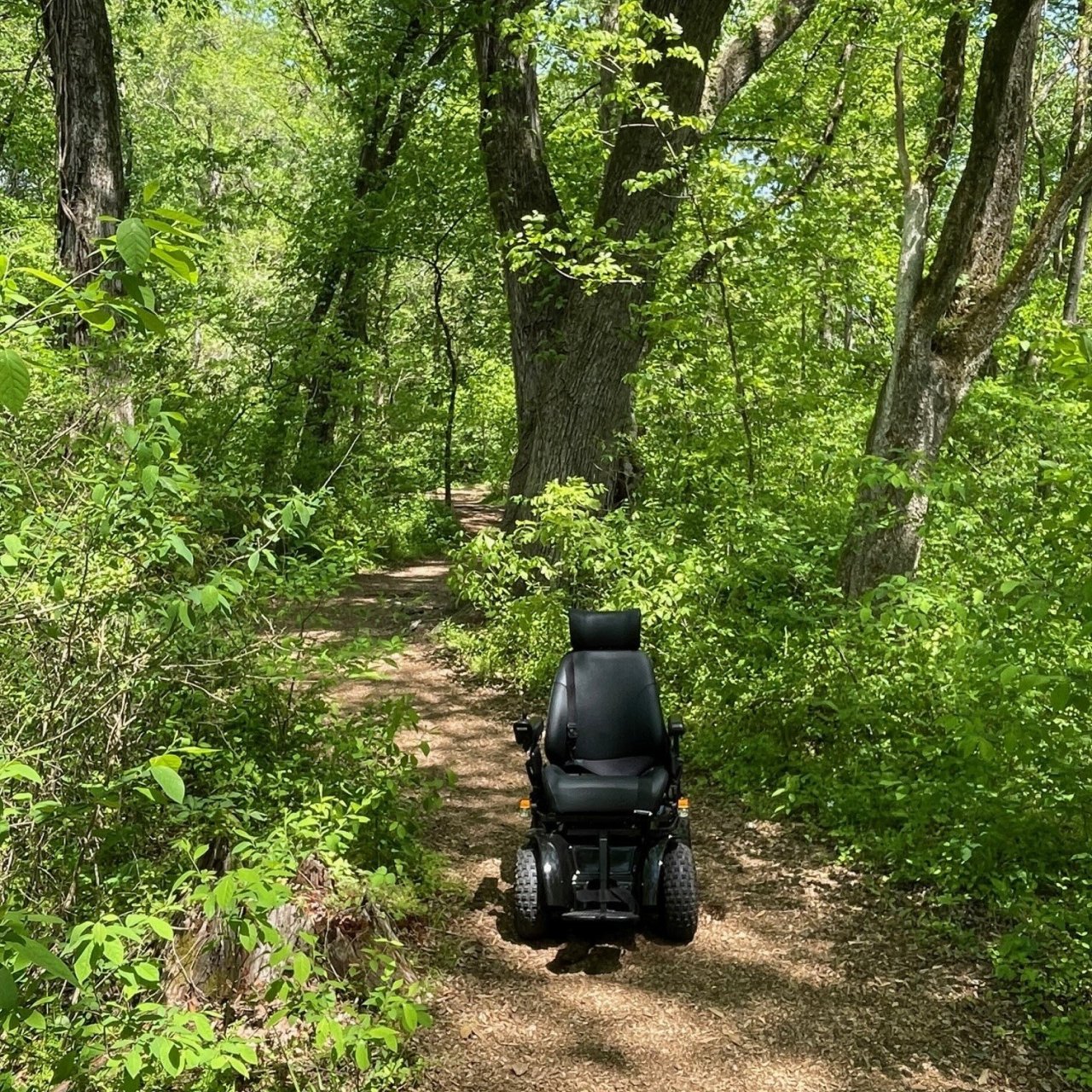 All terrain wheelchair in a forest on a natural trail.