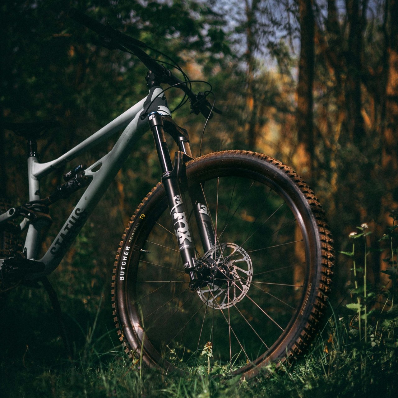view of the front of a silver mountain bike in a forest.