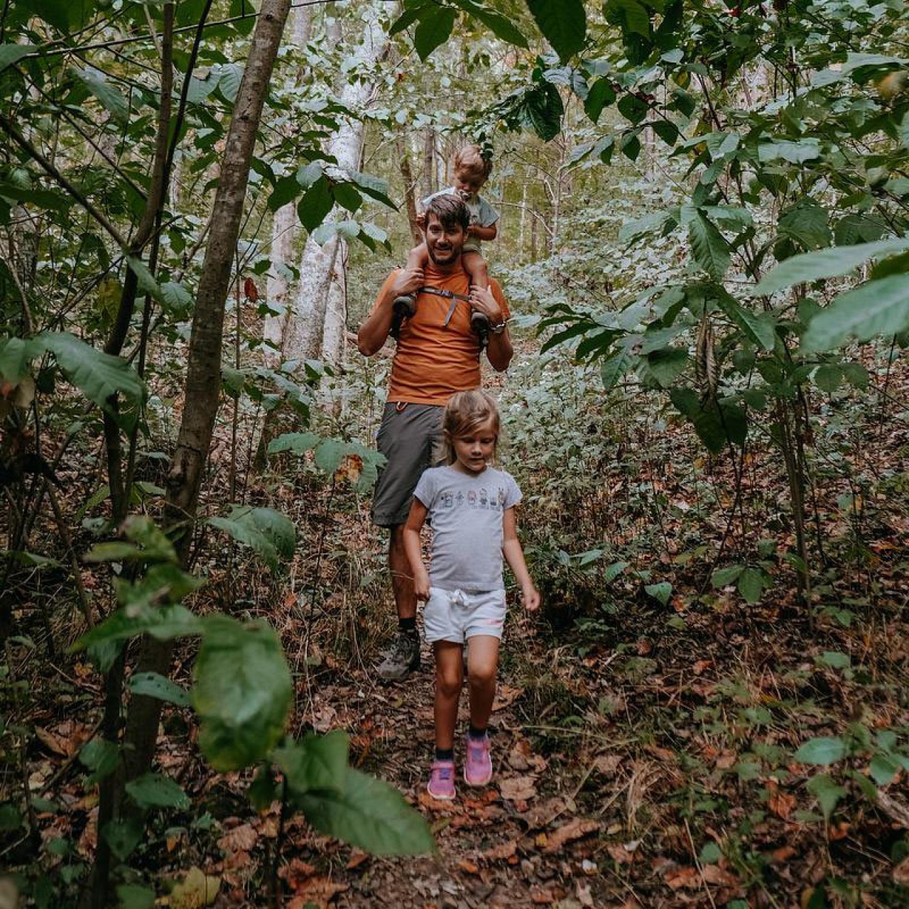 Man and child hiking in a lush forest, child riding on man's shoulders.