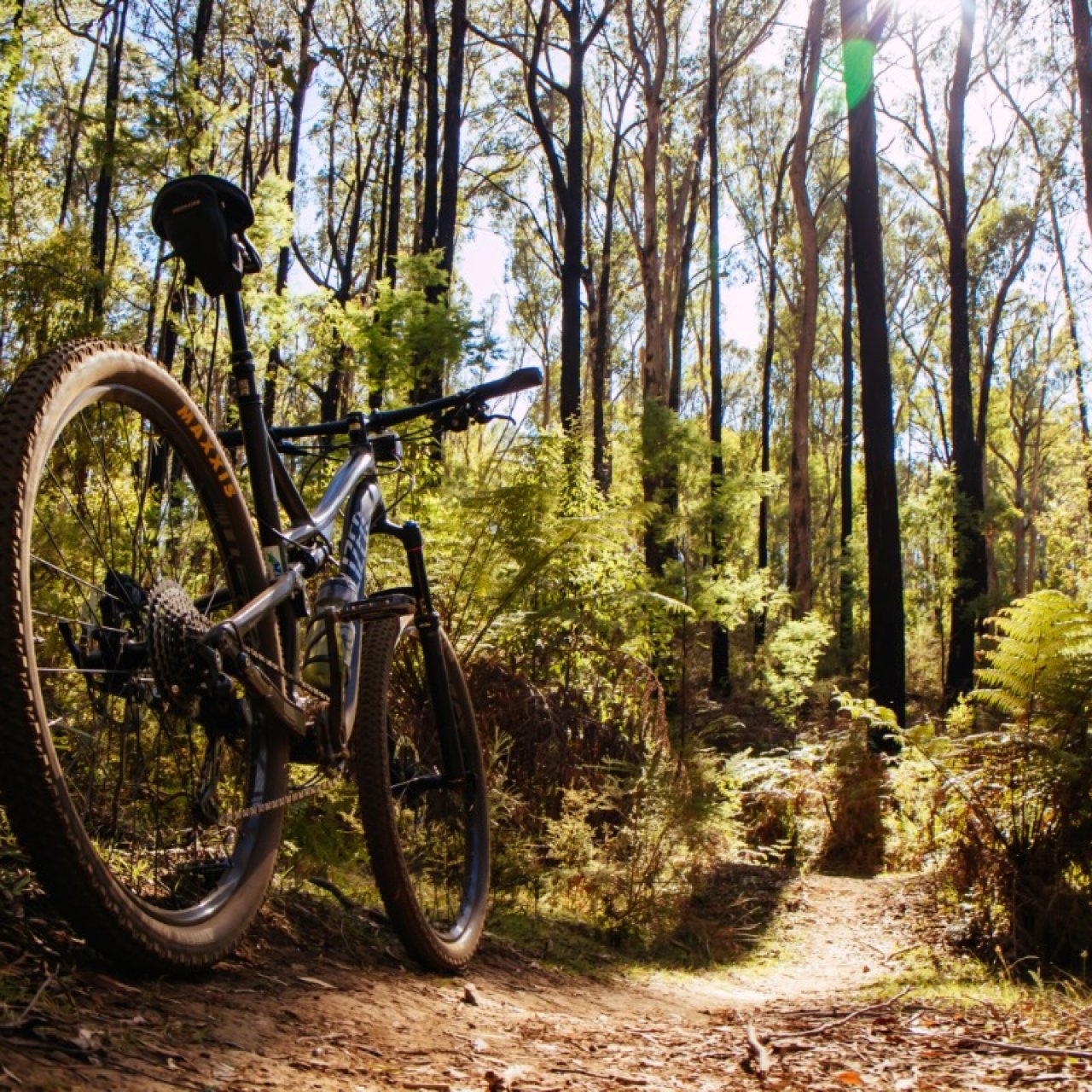 A mountain bike set up on a dirt path in the middle of a forest