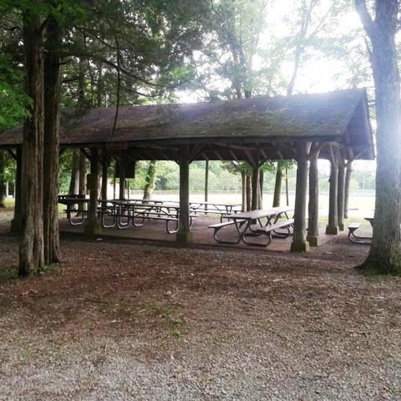 Rustic picnic shelter with tables in a wooded park setting.