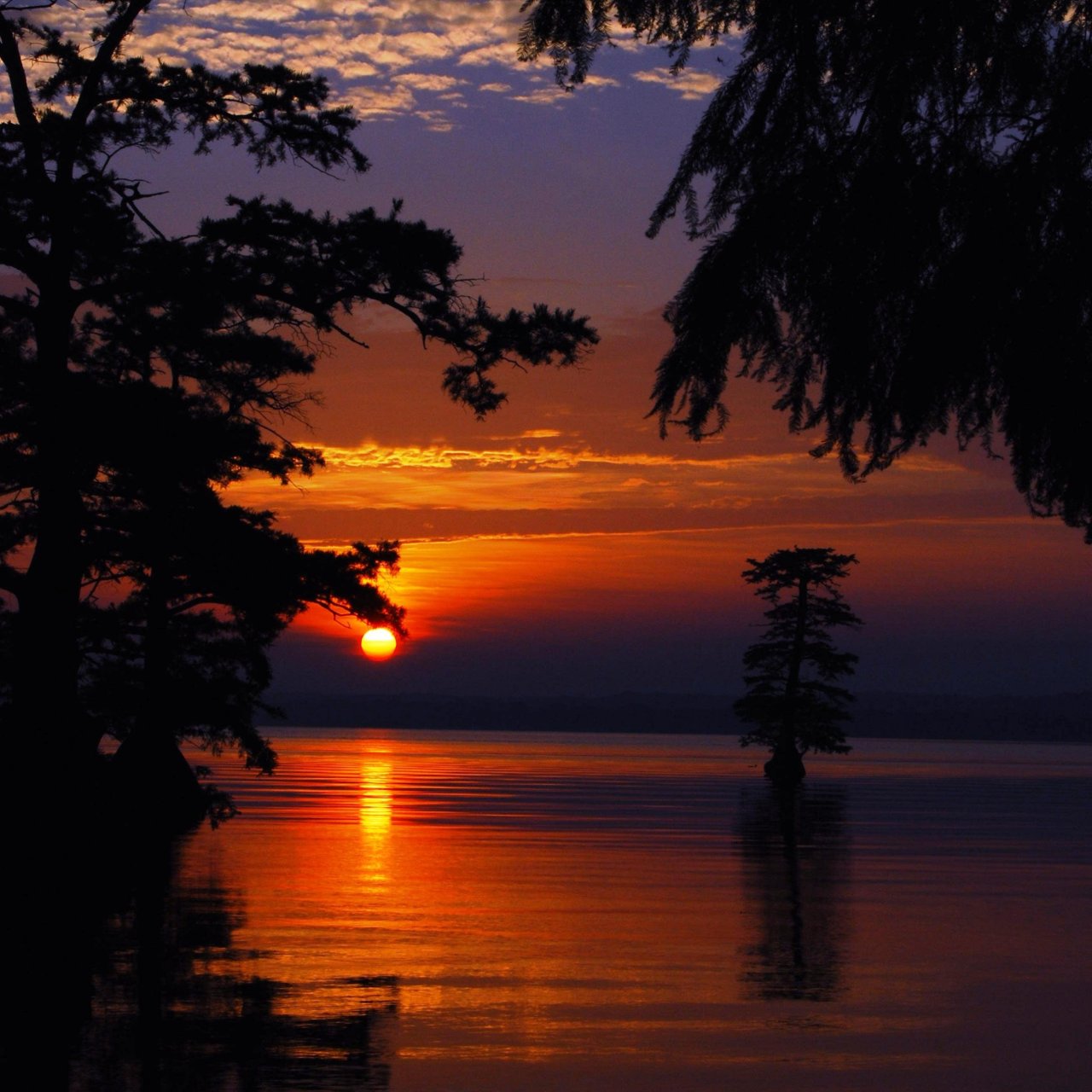 Sunset over a calm lake with silhouettes of trees.