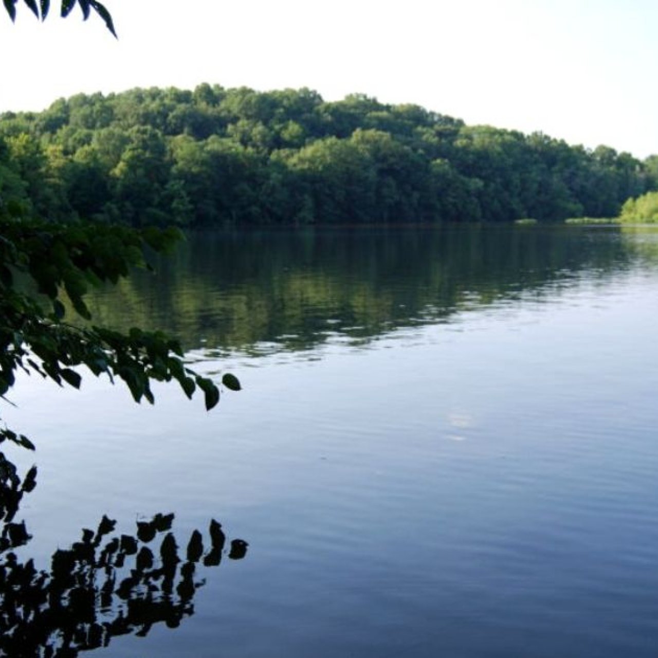 Bledsoe Creek