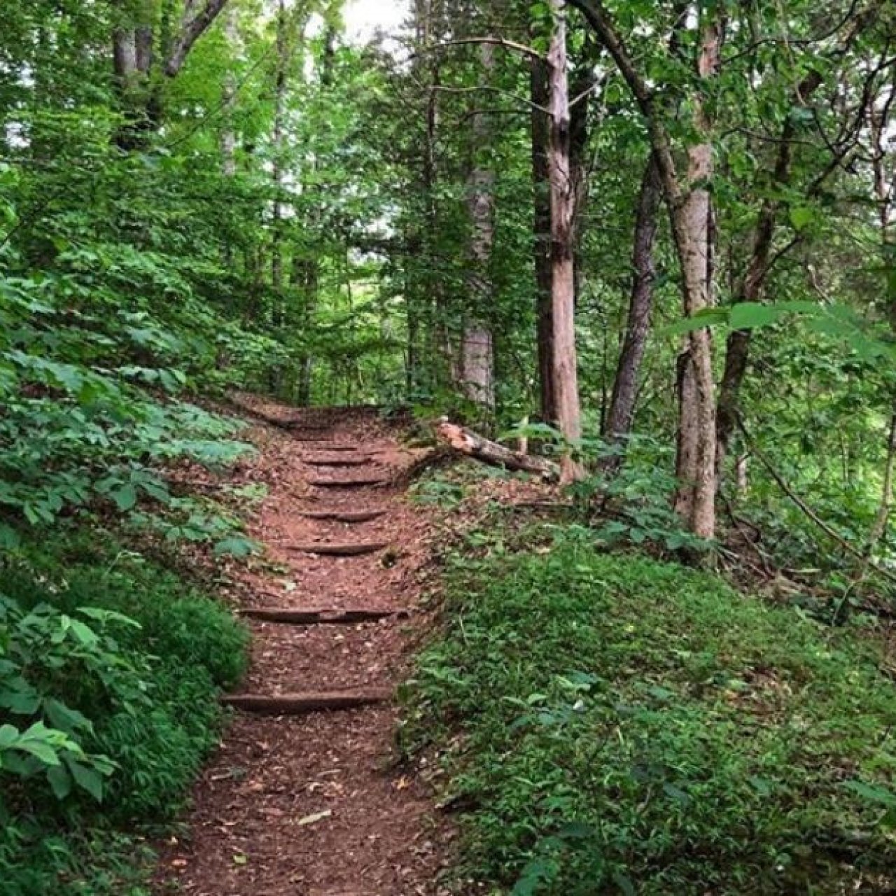Warriors Path State Park