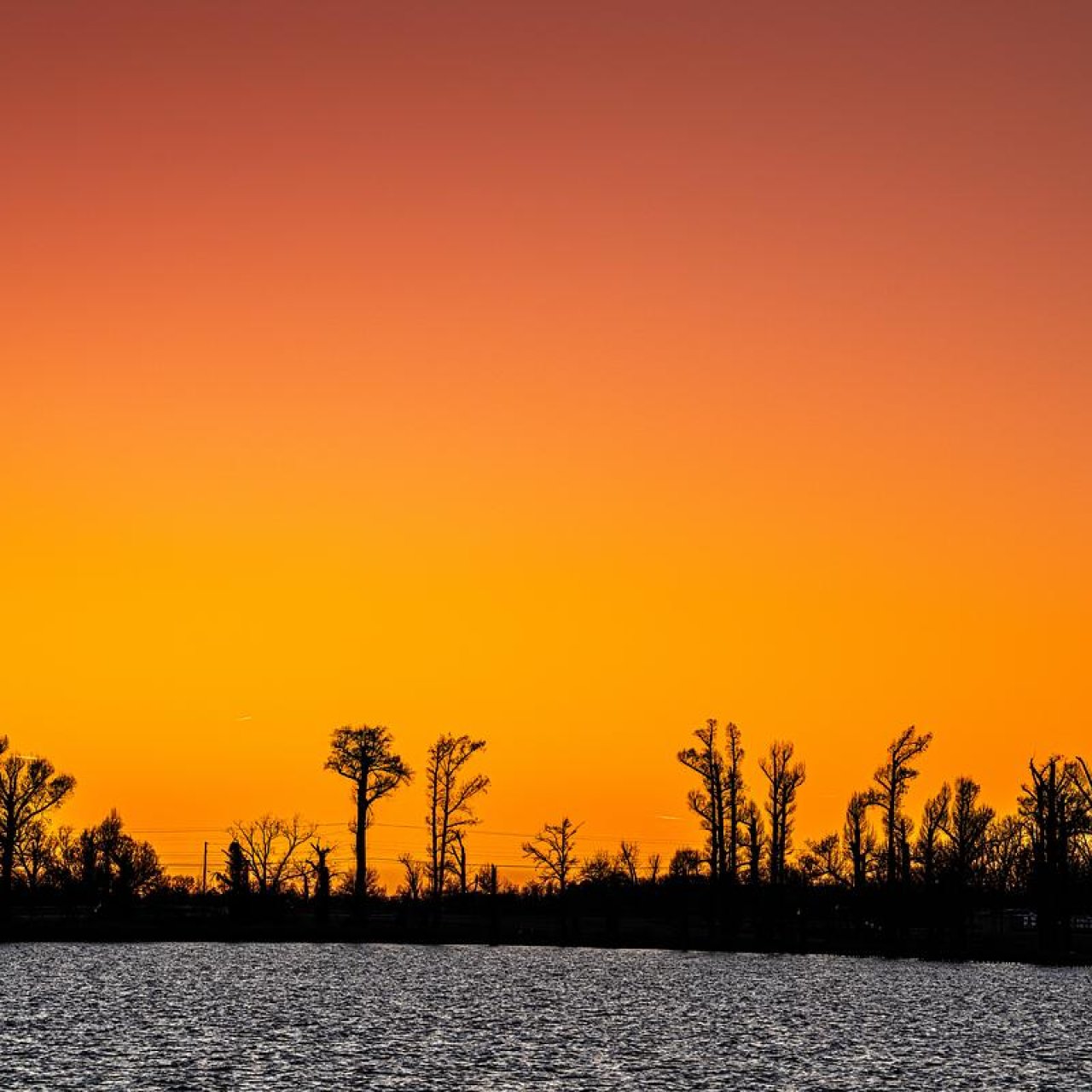 A bright orange sunset fades into the night sky above, atop tall cypress trees and a dark lake. 