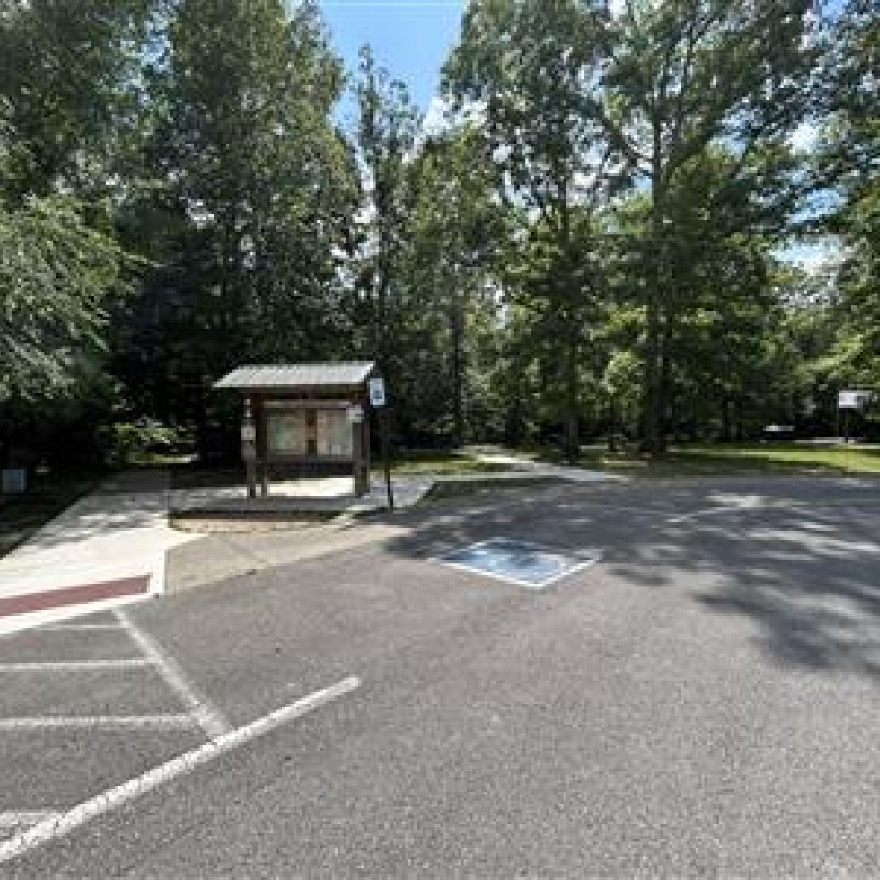 Parking area with freshly painted lines and a small building surrounded by trees.